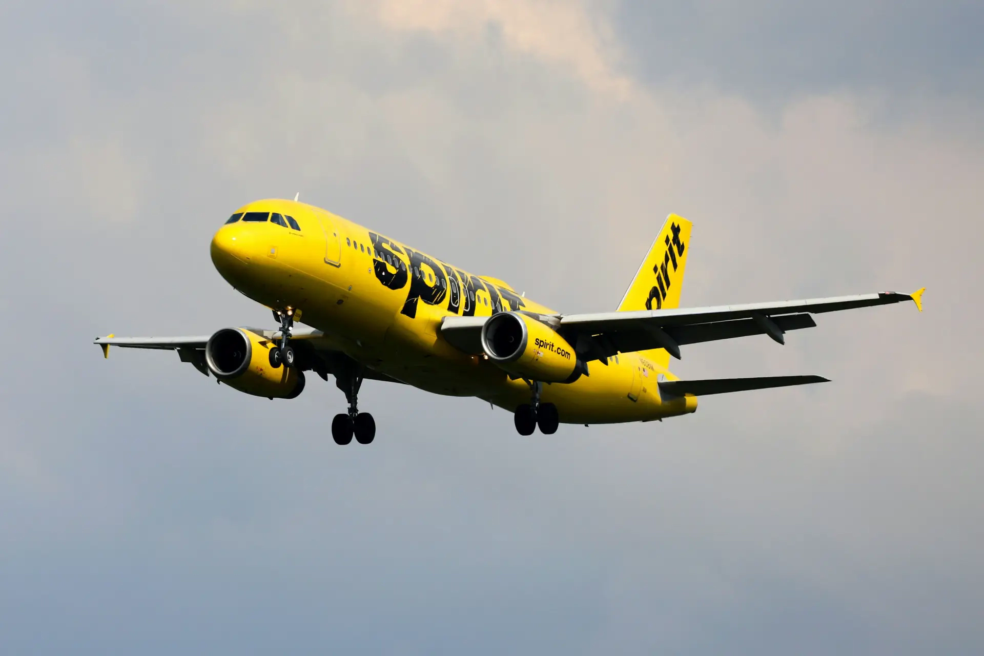 How To Change Name in Spirit Airlines Ticket